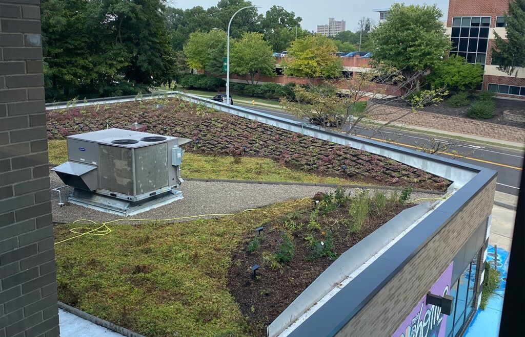 Frederick Douglass Library Green Roof