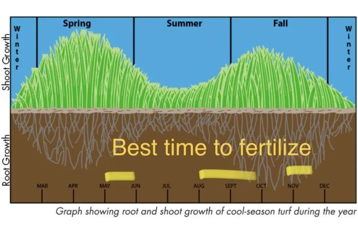 Lawn-fertilizing-700x441