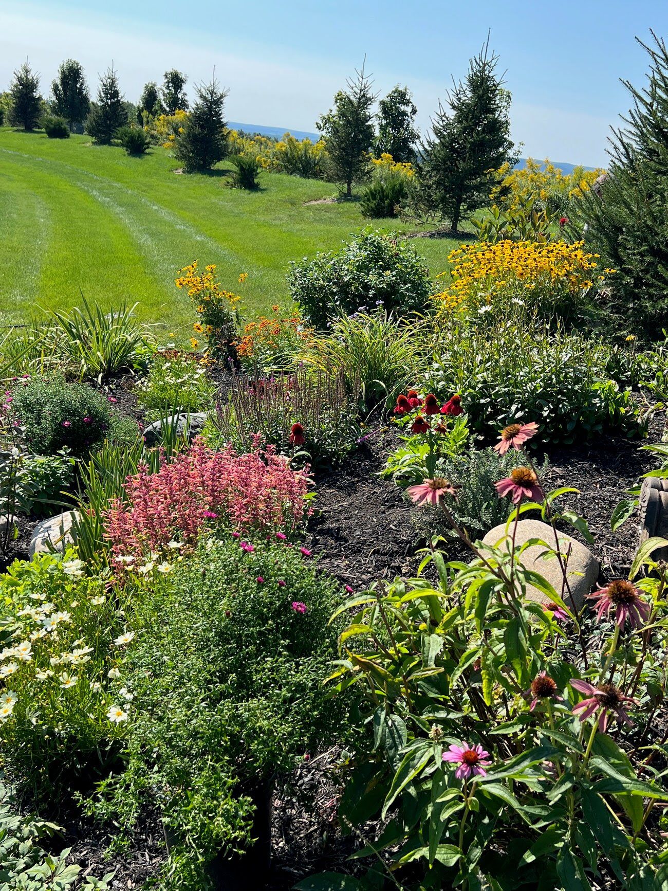 Fall Planting Time! (Bulbs, Mums and More!)